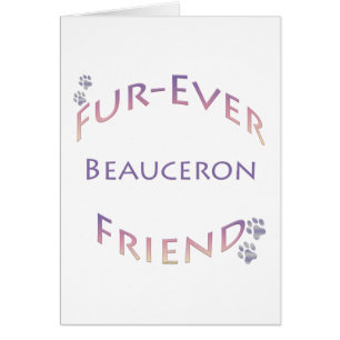 Beauceron Furever