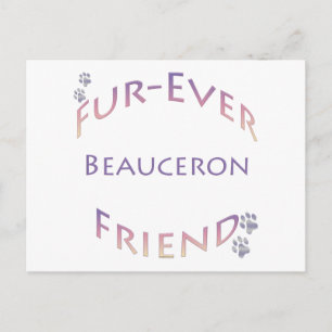 Beauceron Furever Postcard