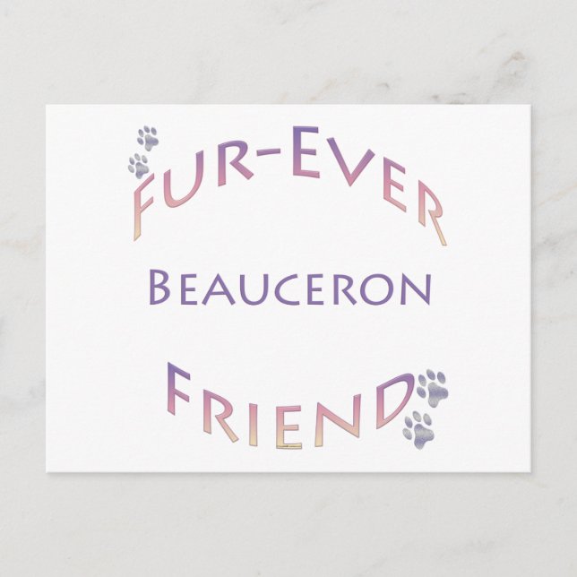 Beauceron Furever Postcard (Front)
