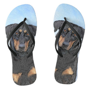 Beauceron Painting - Cute Original Dog Art Thongs