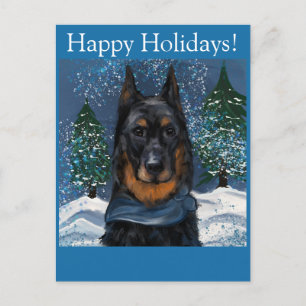 Beauceron postcard