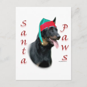 Beauceron Santa Paws Holiday Postcard