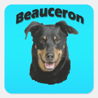 Beauceron Turquoise Square Sticker