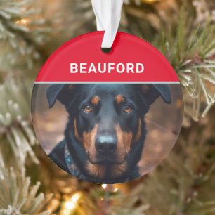 Beauceron with Dog's Name and Photo Christmas Ornament