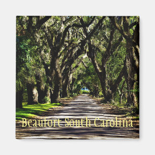 beaufort south carolina magnet