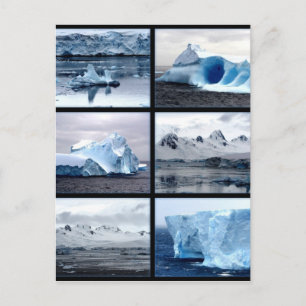 Beauiful surprising Antartica Postcard