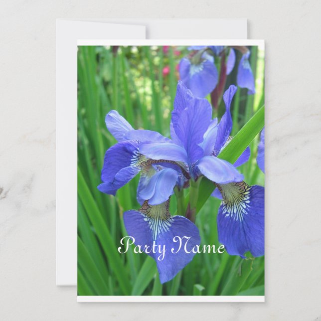 Beautfiul blue iris and green leaves invitation (Front)