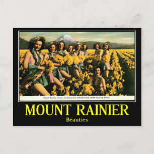 Beauties in Puyallup Valley, Vintage Postcard