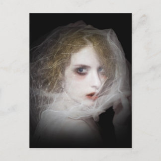 Beauties Postcard