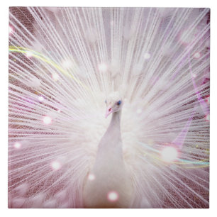 Beautifu lWild Bird Ceramic Tile