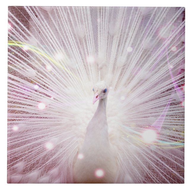 Beautifu lWild Bird Ceramic Tile (Front)