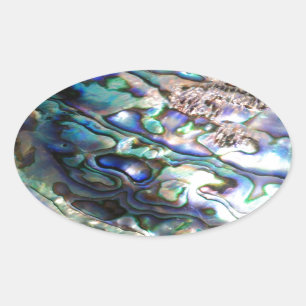 Beautiful abalone shell oval sticker
