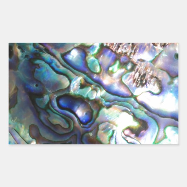 Beautiful abalone shell rectangular sticker (Front)