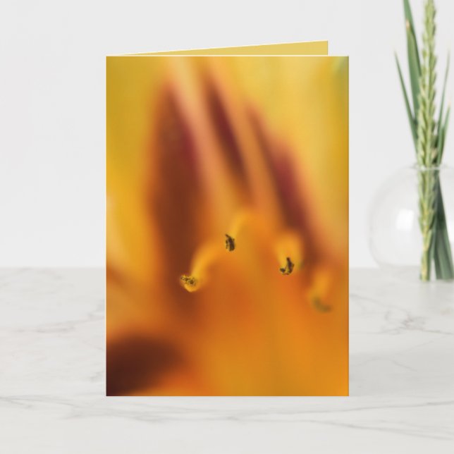Beautiful Abstract Orange Tiger Lily Flower Blank Card (Front)