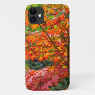 Beautiful Acer iPhone 11 Case