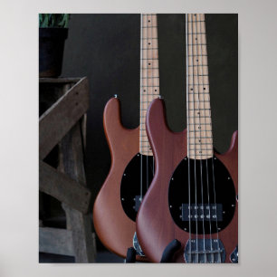 Beautiful Acoustic Guitar Poster