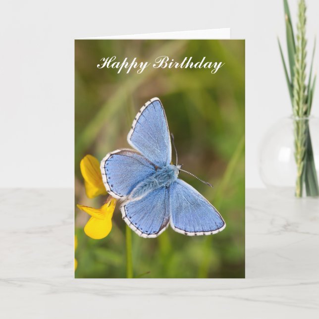 Beautiful Adonis Blue butterfly Birthday Card (Front)