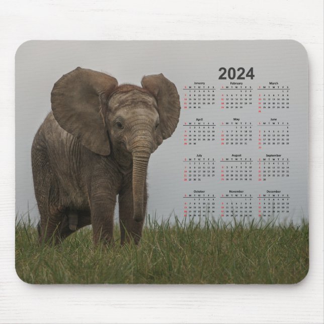 Beautiful African Bush Elephant 2024 Calendar Mouse Pad (Front)