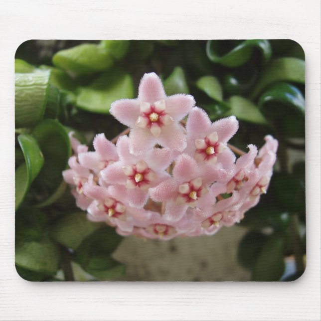 Beautiful African Violet Mouse Pad (Front)