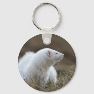 Beautiful Albino Ferret Key Ring