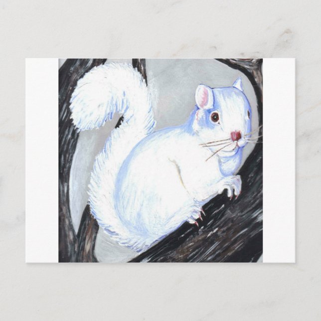 Beautiful Albino Squirrel Postcard (Front)