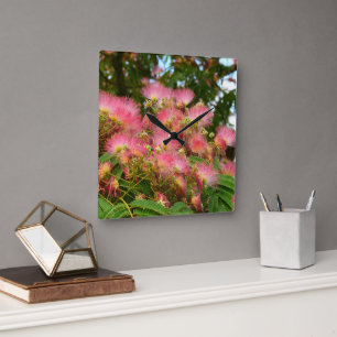 Beautiful Albizia tree in flowers Square Wall Clock