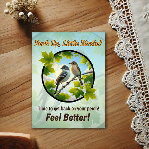 Beautiful Alder Flycatchers Get Well Postcard