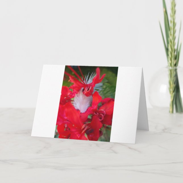 Beautiful Alien Crimson.jpg Card (Front)