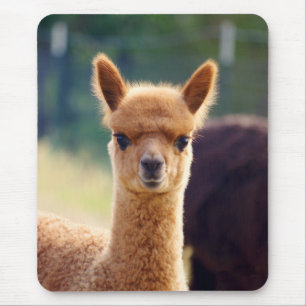 Beautiful Alpaca Mousepad