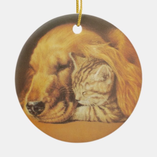 Beautiful Amazing Cat and Dog Cuddling Art Print Ceramic Ornament (Front)