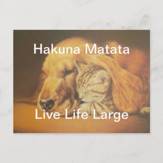 Beautiful Amazing Cat and Dog Cuddling Art Print Postcard