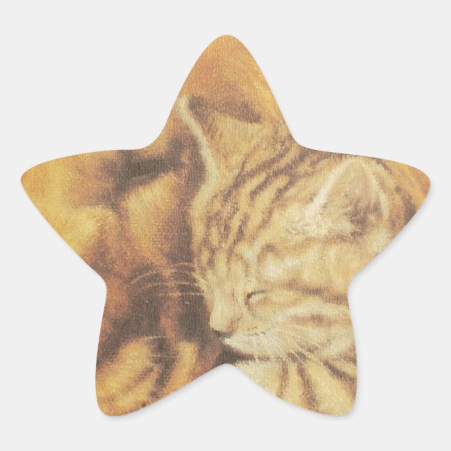 Beautiful Amazing Cat and Dog Cuddling Art Print Star Sticker (Front)