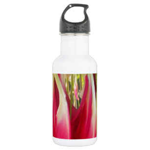 Beautiful amazing customisable Trendy Art Design 532 Ml Water Bottle