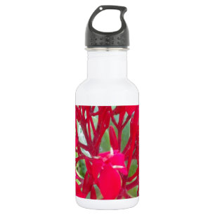 Beautiful amazing customisable Trendy Art Design 532 Ml Water Bottle