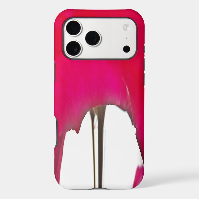 Beautiful amazing Red rose under the white sky (Back)