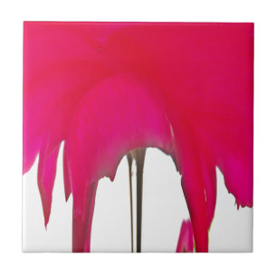 Beautiful amazing Red rose under the white sky Ceramic Tile