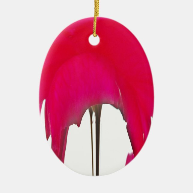 Beautiful amazing Red rose under the white sky Ceramic Tree Decoration (Front)