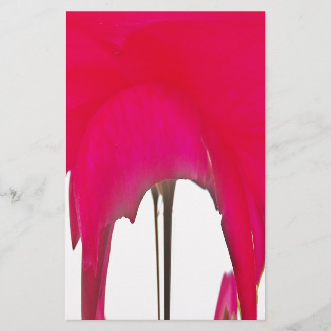 Beautiful amazing Red rose under the white sky Stationery (Front)