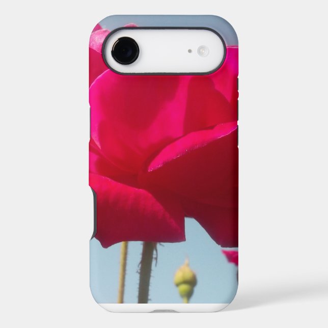 Beautiful Amazing  Rose For the Bride (Back)