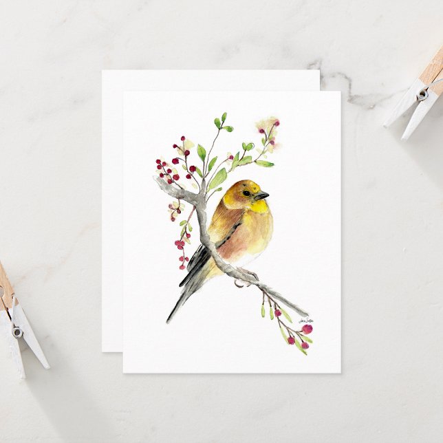 Beautiful American Goldfinch Songbird Note Card (Beautiful American Goldfinch Songbird Blank Note Cards from Jenn Steffen Art)