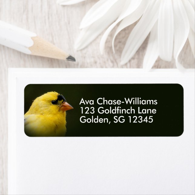 Beautiful American Goldfinch Songbird Return Address Label (Insitu)