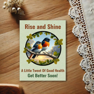 Beautiful American Redstarts Get Well Postcard