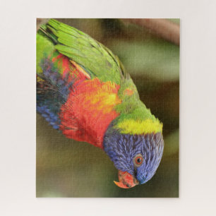 Beautiful and Colourful Parrot Jigsaw Puzzle