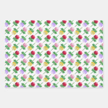 Beautiful and Colourful Roses