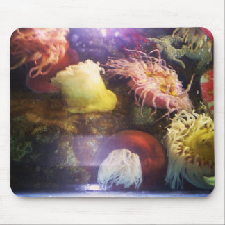Beautiful and colourful soft coral mousepad