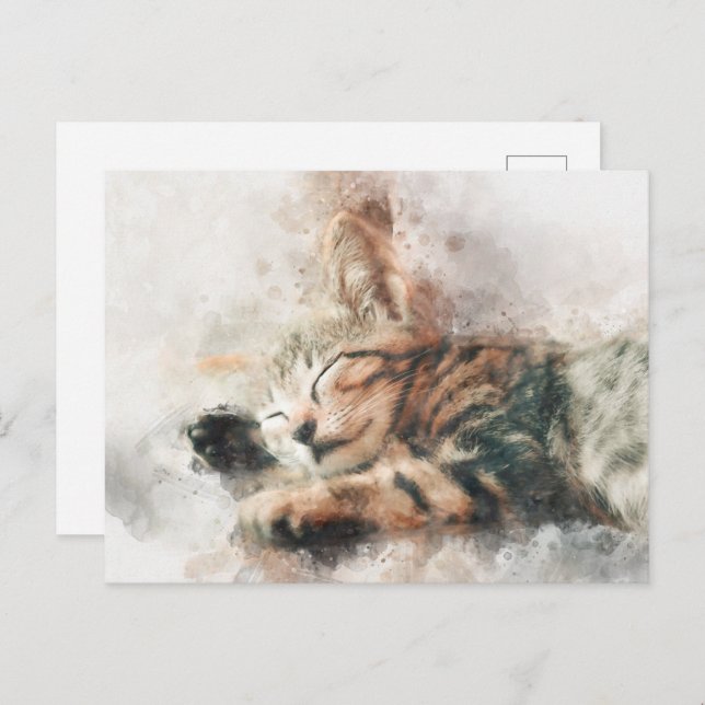 Beautiful and cute kitten sleeping watercolor postcard (Front/Back)