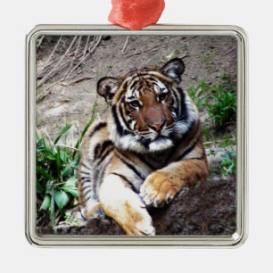 Beautiful and Majestic Bengal Tiger Custom Metal Tree Decoration