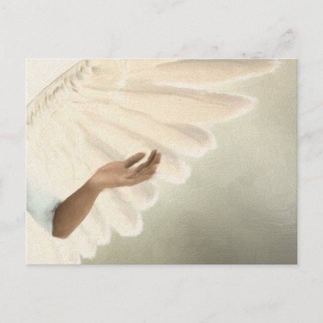 Beautiful Angel Wings - Caring & Calm Postcard (Front)