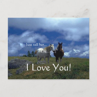 Beautiful Animal Cards