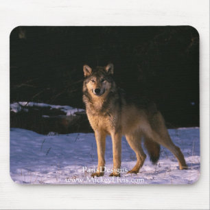 beautiful animals of the wild mouse pad